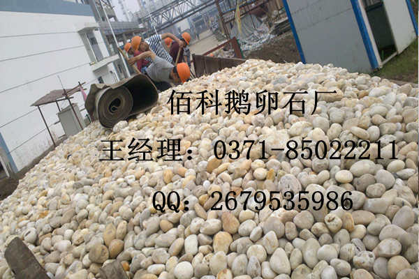 天然鵝卵石（純白色、純黑色）廠家