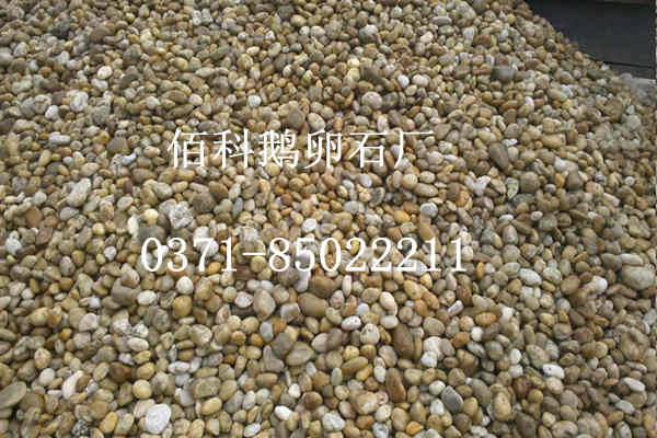 在哪里可以買到鋪路用天然鵝卵石？